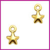 DQ metaal bedel sterretje Goud