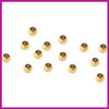 RVS stainless steel knijpkraaltjes 2,5mm goud