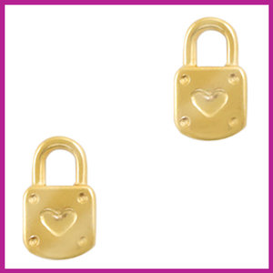 RVS stainless steel bedel hangslot goud