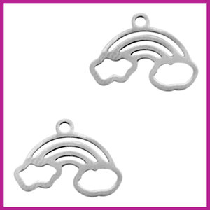 RVS stainless steel bedel regenboog zilver