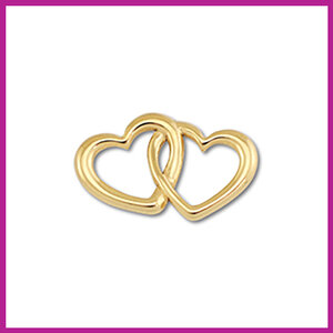 RVS stainless steel tussenstuk hartjes goud