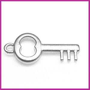 Geborsteld metaal sleutel klein