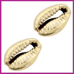 Schelp kraal Kauri goud