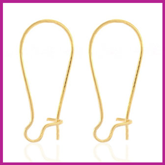 RVS stainless steel sluitbare oorhangers goud