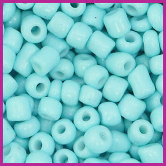 Rocailles 6/0 (4mm) Light turquoise blue