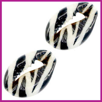 Schelp kralen specials Kauri black white zebra