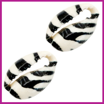 Schelp kralen specials Kauri black white tiger