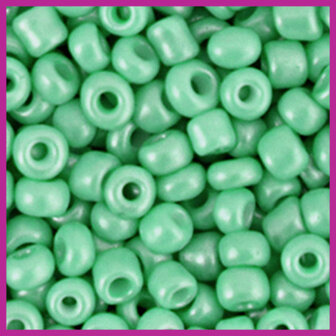 Rocailles 6/0 (4mm) Vivid green