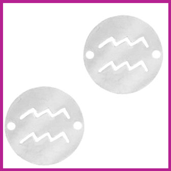 RVS stainless steel zodiac coin waterman zilver
