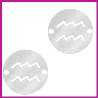 RVS stainless steel zodiac coin waterman zilver