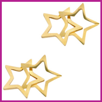 RVS stainless steel tussenstuk double star goud