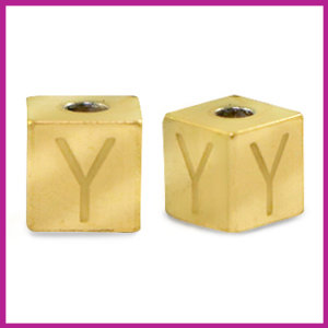 RVS stainless steel initial cube goud Y