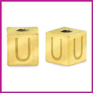 RVS stainless steel initial cube goud U