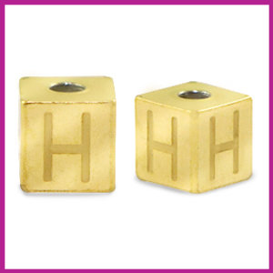 RVS stainless steel initial cube goud H