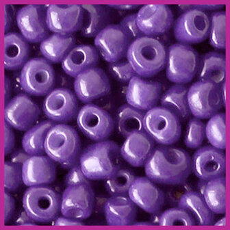 Rocailles 6/0 (4mm) tillandsia purple