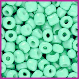 Rocailles 6/0 (4mm) mint turquoise