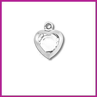 RVS stainless steel bedel hartje zilver - crystal