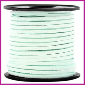 Imitatie suede veter 3mm Light mint green per meter