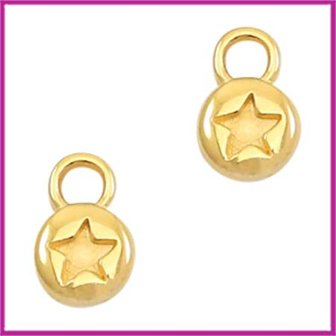 DQ metaal bedel rond 6mm star Goud