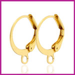 RVS stainless steel sluitbare oorringen goud