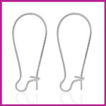 RVS stainless steel sluitbare oorhangers zilver