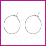 RVS stainless steel sluitbare oorbellen Ø15mm zilver