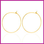 RVS stainless steel sluitbare oorbellen Ø20mm goud