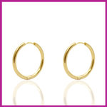 RVS stainless steel creolen oorbellen Ø16mm goud