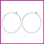 RVS stainless steel sluitbare oorbellen Ø20mm zilver