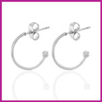 RVS stainless steel creolen Ø12mm zilver