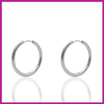 RVS stainless steel creolen oorbellen Ø14mm zilver
