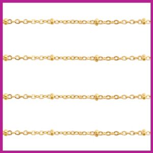 (RVS) Stainless steel jasseron ca. 49cm x 2mm goud