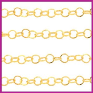 (RVS) Stainless steel jasseron rond goud