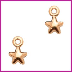 DQ metaal bedel sterretje Rosegold