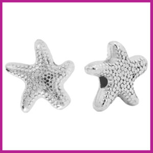 DQ metaal kraal zeester Antiek zilver 