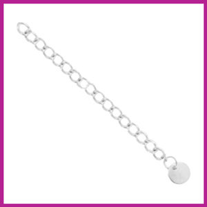RVS stainless steel verlengketting coin 6mm zilver