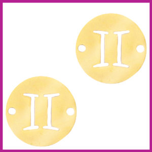 RVS stainless steel zodiac coin tweeling goud