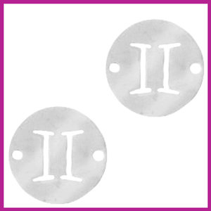 RVS stainless steel zodiac coin tweeling zilver