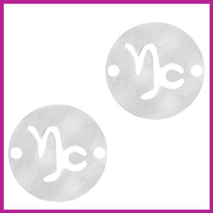 RVS stainless steel zodiac coin steenbok zilver