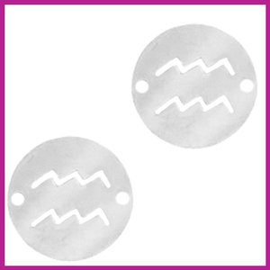 RVS stainless steel zodiac coin waterman zilver