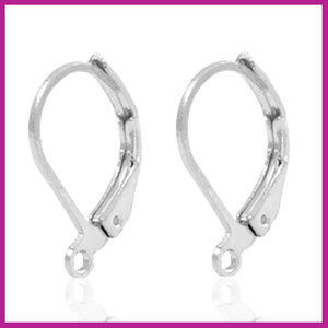 Oorbel TQ metaal sluitbaar zilver