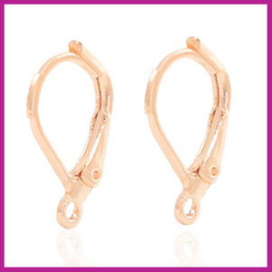 Oorbel TQ metaal sluitbaar rosegold