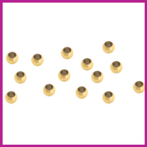 RVS stainless steel knijpkraaltjes 2mm goud