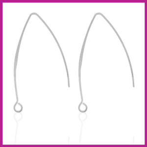 RVS stainless steel oorhangers large zilver