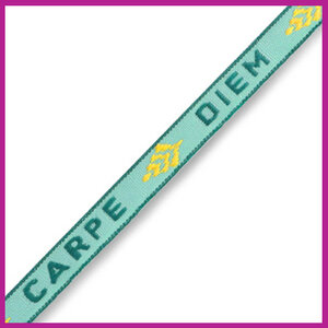 Lint met tekst "carpe diem" turquoise green