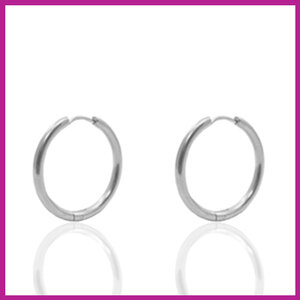 RVS stainless steel creolen oorbellen Ø14mm zilver