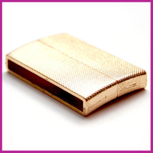 Magneetslot "Hippanema" 40x26mm Champagne goud