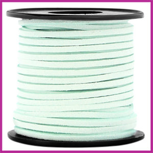 Imitatie suede veter 3mm Light mint green per meter