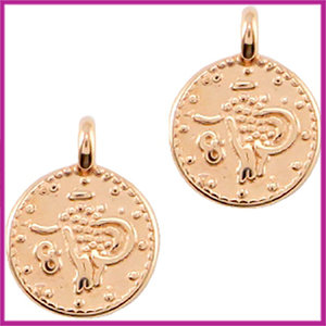 DQ metaal bedel muntje Rosegold